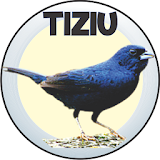 TIZIU icon