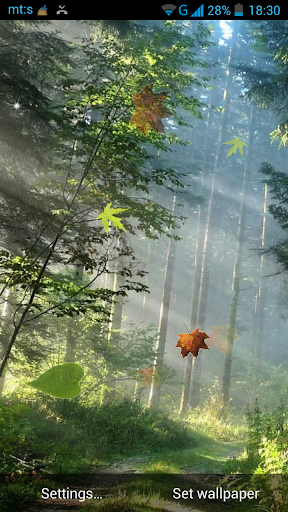 Download Forest Live Wallpaper Free for Android - Forest Live Wallpaper APK  Download 