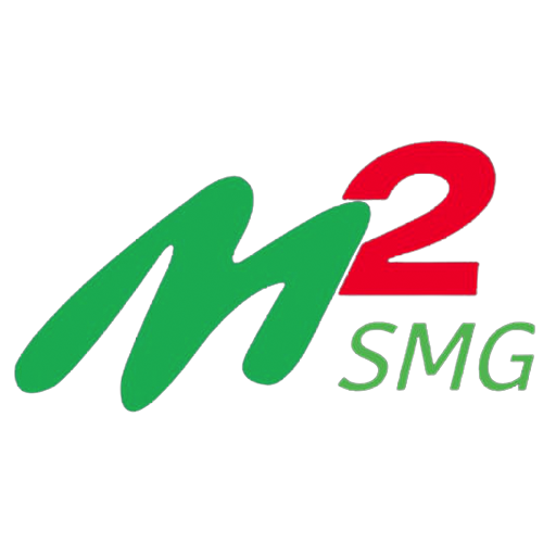 M2smg logo