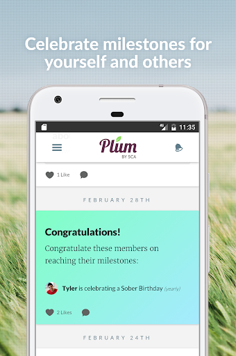 PLUM by Sundance Canyon Academ Screen 2
