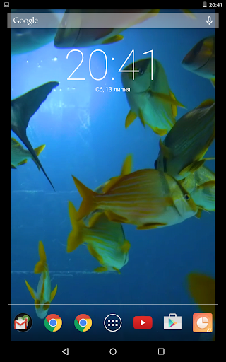 Colored Fish Live Wallpaper