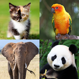 Icon image Guess the Animal: Photo Quiz