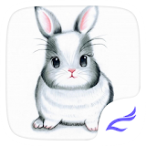 Rabbit DIY Theme icon