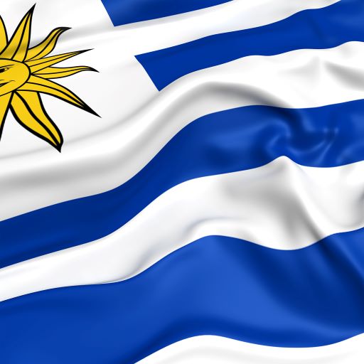 Empleo Uruguay  Icon