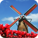 Tulip Windmill Free icon