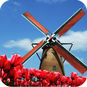  Tulip Windmill Free 