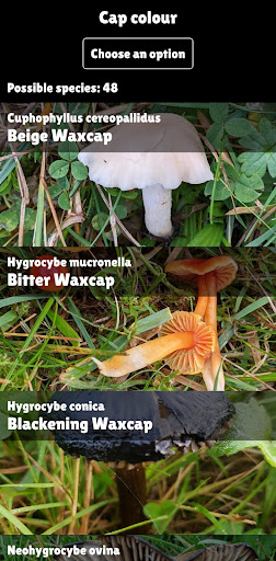 Peachy Steves UK Waxcaps Screen 2