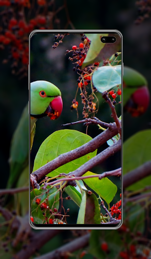 Hd Wallpaper & Background Screen 2