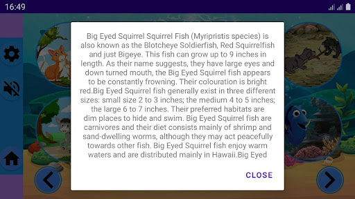 ZOO Screen 3