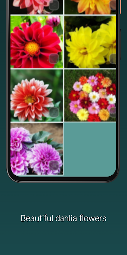 Mothers Day Flowers Screen 2