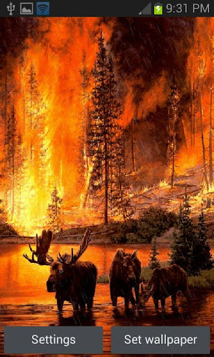 Forest Fire Live Wallpaper