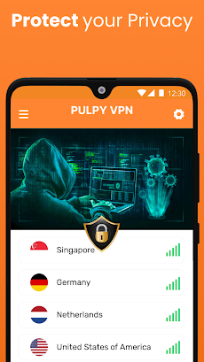 Pulpy VPN - Secure VPN Proxyのおすすめ画像5