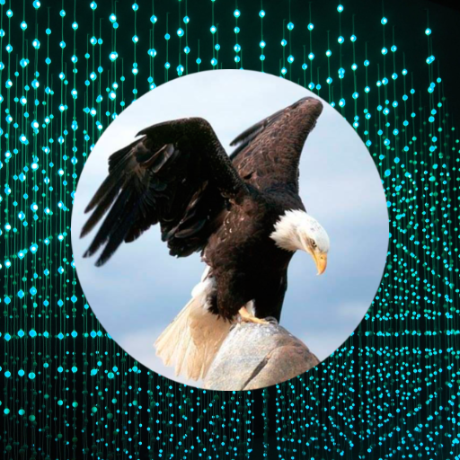 Buscando Aguilas logo