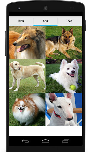 Animal Sounds (Bird,Dog,Cat) Screen 2