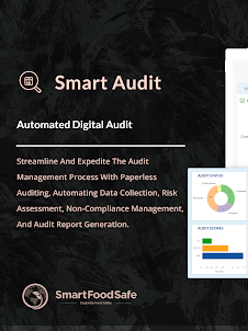 Smart Audit