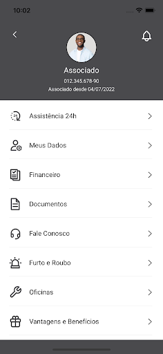 Estilo Proteção Veicular Screen 3