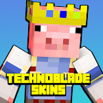 Cover Image of Download Technoblade Skins For MCPE 01 APK