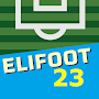 Elifoot 23