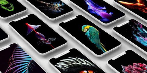 Amoled Wallpapers HD Offline