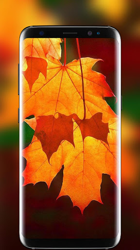 Autumn Live Wallpaper Free