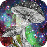 Mushroom Animated Wallpaper icon
