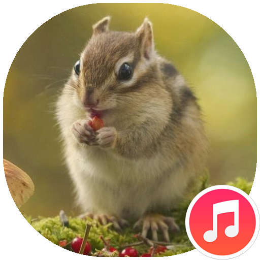 Chipmunk Sounds Download on Windows