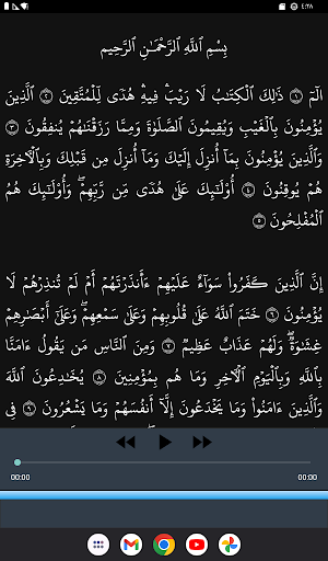 سورة البقرة وديع يمني بدون نت