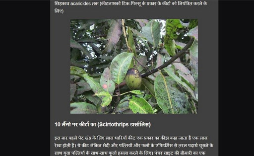 Android application mango cultivation screenshort
