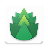 Leafy VPN - Free VPN：Smarter And More Efficient icon