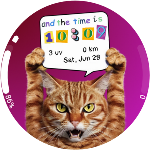 Time is Cat Watch Face Wear Os Download on Windows