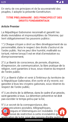 Constitution Gabonaise Screen 3