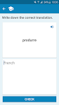 screenshot of French-Italian Dictionary