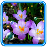 Crocus Flowers Wild icon