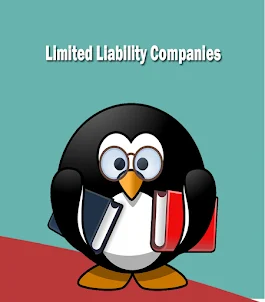 Limited Liability Companies (L