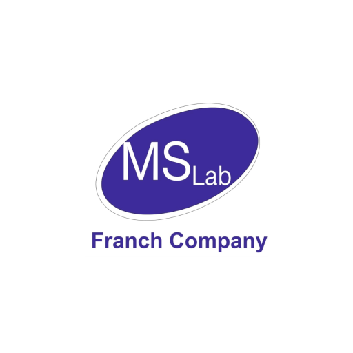 MS lab France company logo