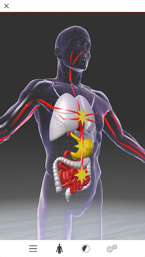 Android application Acupuncture 3D screenshort