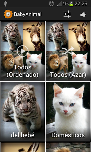 Vista previa de la aplicación