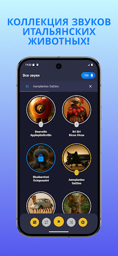 Предварительный просмотр приложения