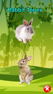 Rabbit Sounds 3D Simulator
