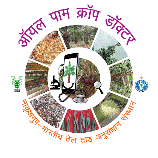 Oil Palm Crop Doctor Hindi logo