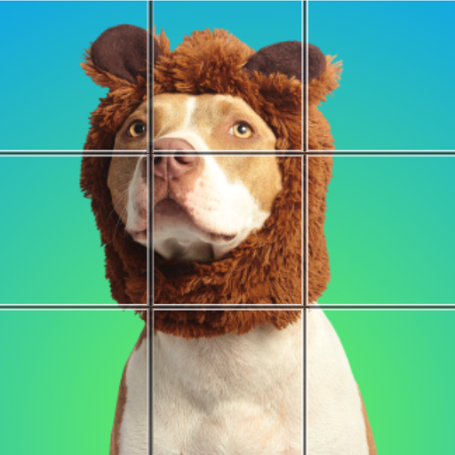 Slide Puzzle - Jigsaw Explorer Install on Windows