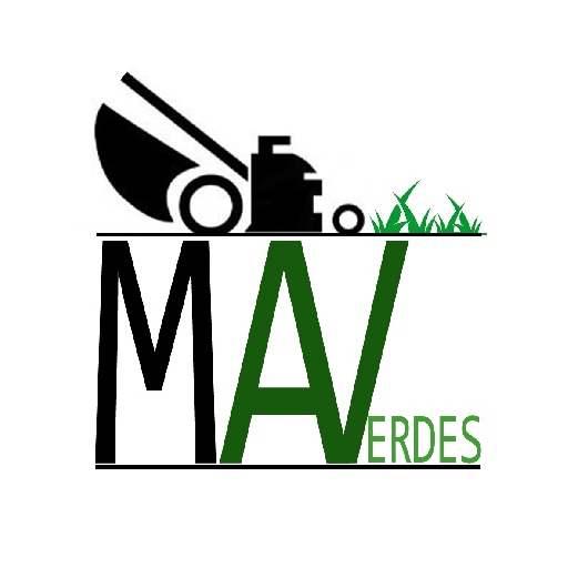 Insacruz: MAV logo
