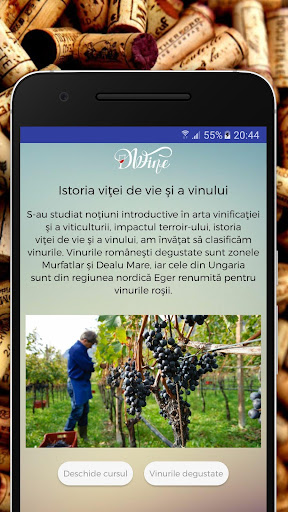 DWine - Arta vinului Screen 2