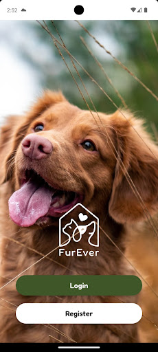 Android application Furever screenshort