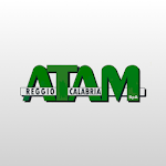 Cover Image of Télécharger ATAM – Trasporti e Sosta 2.4.1 APK
