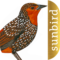All Birds Northern South Ameri: Download & Review