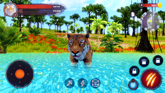 The Tiger 4