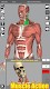 screenshot of 3D Anatomy
