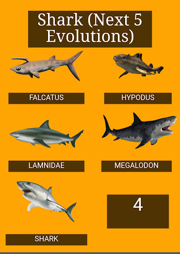 Evolution App