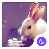Cartoon Kawaii Pink Rabbit APUS Launcher theme icon